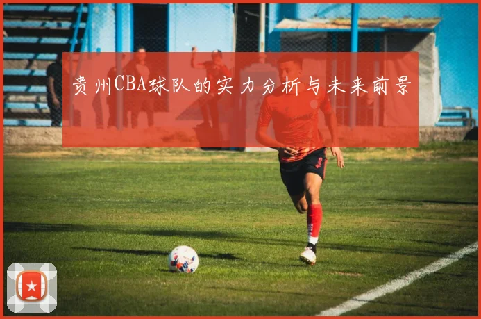 贵州CBA球队的实力分析与未来前景