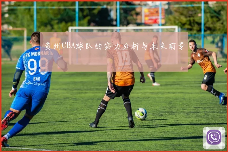 贵州CBA球队的实力分析与未来前景